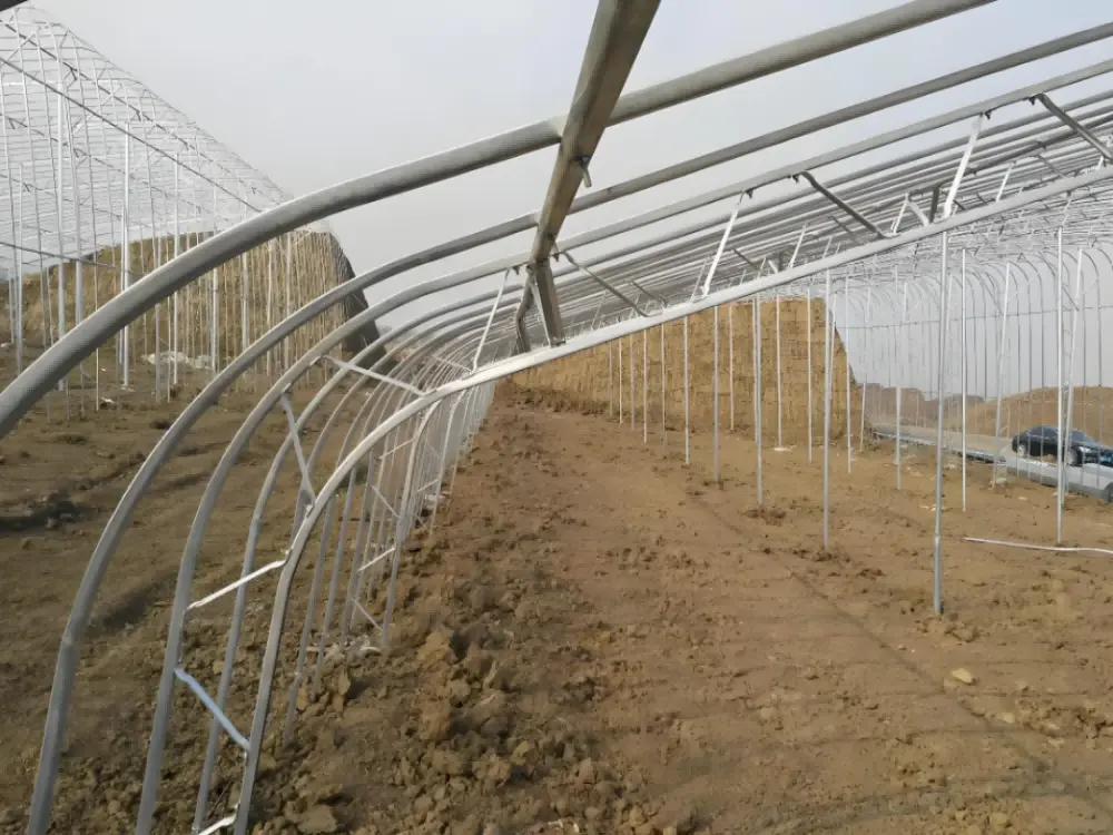 Vegetable greenhouse frame