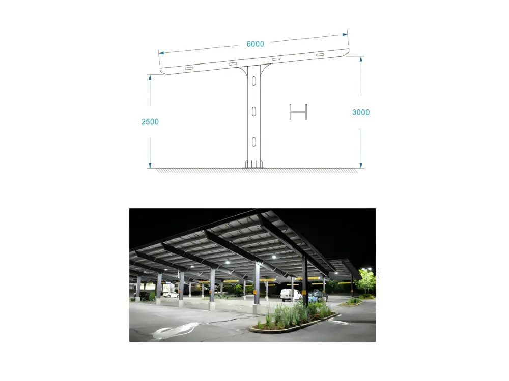 Type1(1)